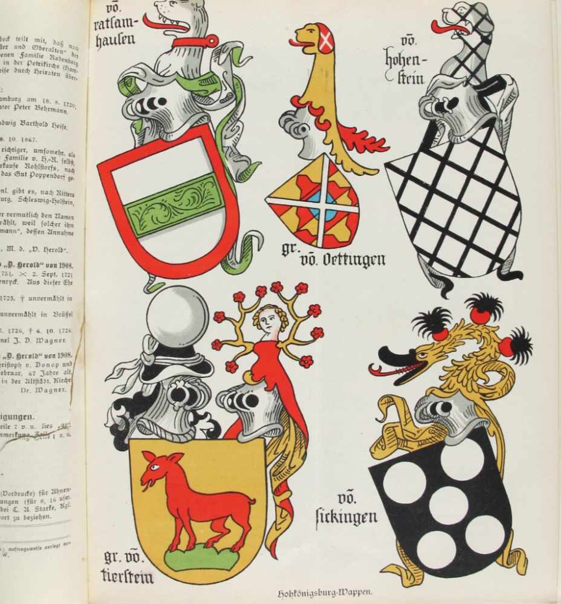 Heraldik: Hildebrandt, Ad. M. (Hrsg.). Der Deutsche Herold. Zeitschrift für Wappen-, Siegel- und - Bild 2 aus 4