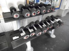 Life Fitness Dumb Bells with Rack