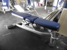 Life Fitness Adjustable Bench