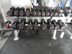 Life Fitness Dumb Bells with Rack