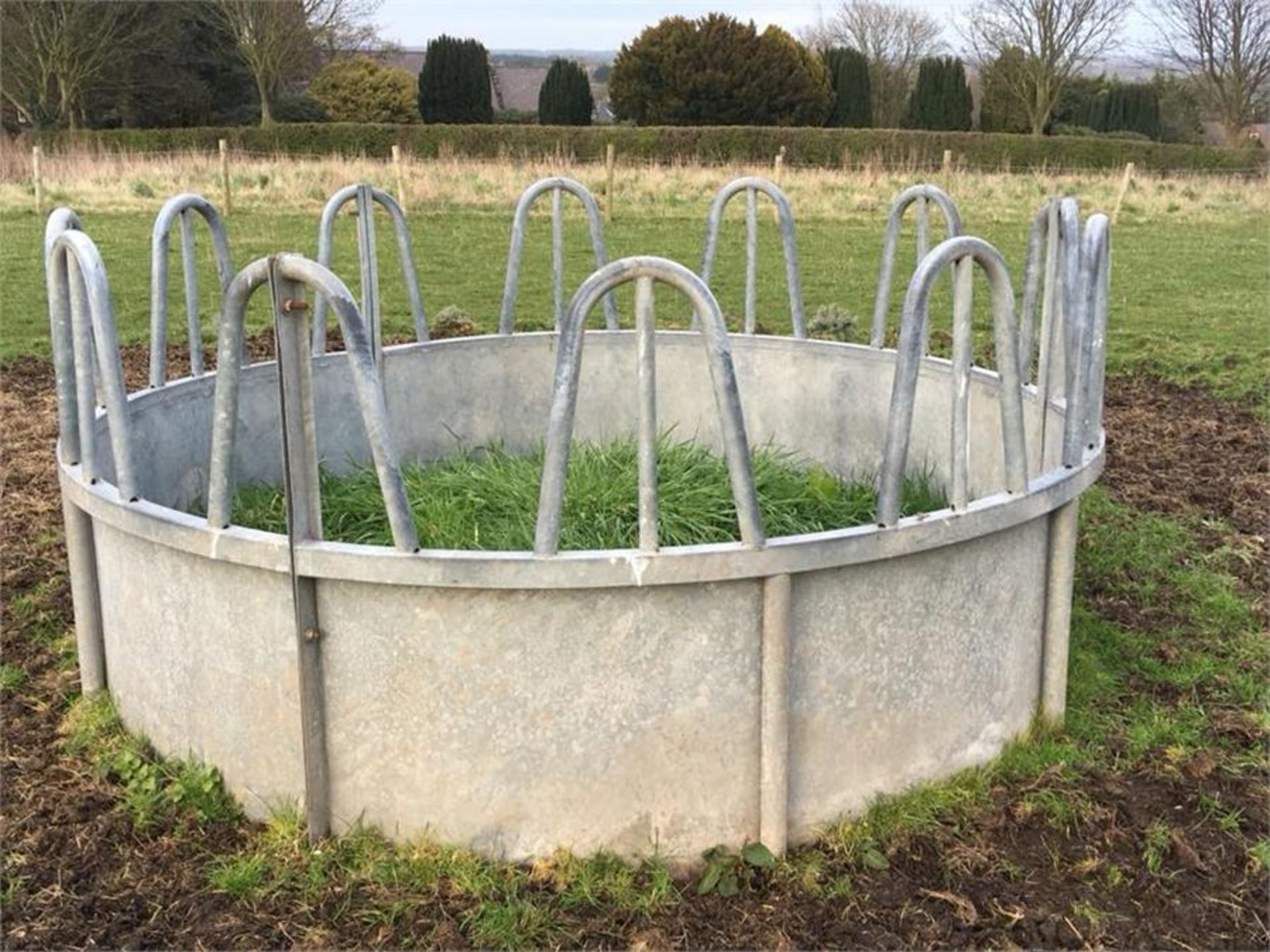 Tomb Stone Ring Feeder