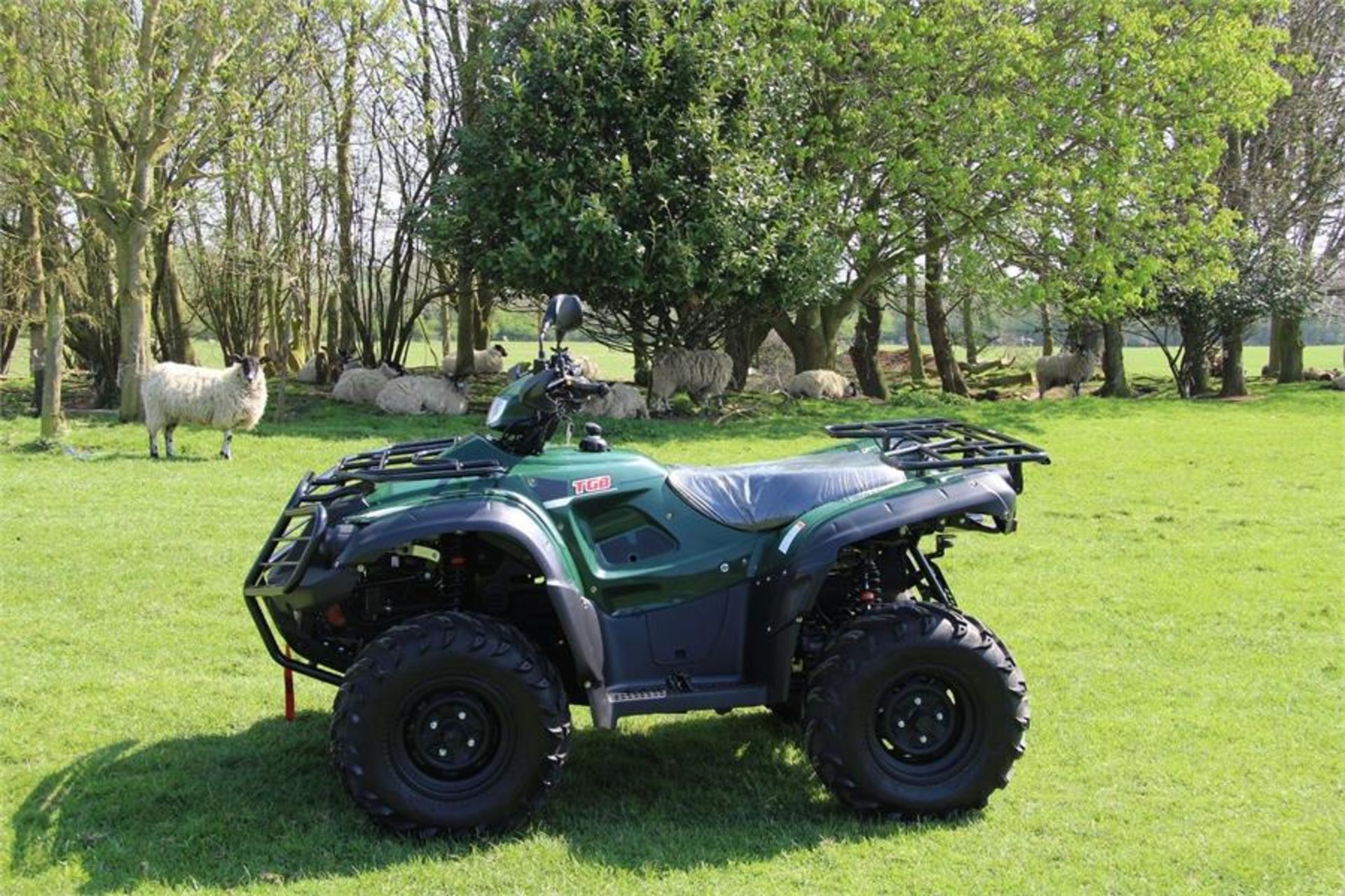 TGB Blade 550Sl Farm ATV - Image 3 of 11