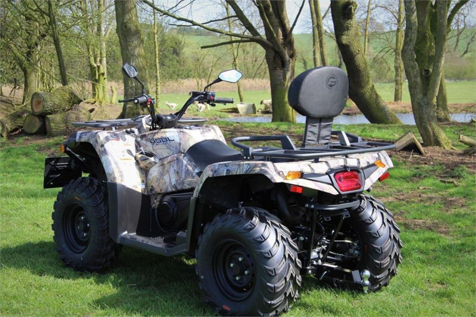 Quadzilla Terrain 450 LWB - Image 9 of 11