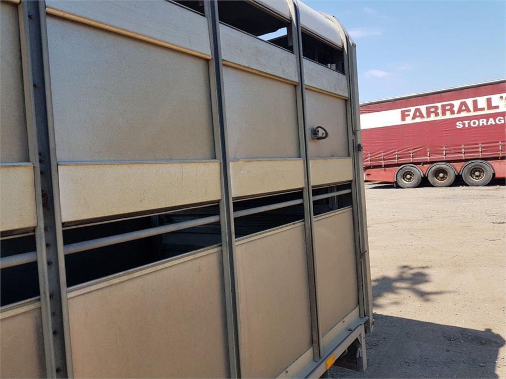 12ft ifor williams cattle trailer sheep trailer fully loaded - Bild 5 aus 10