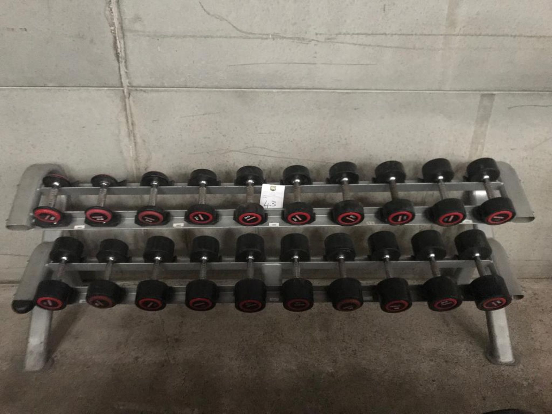 Escape 2 Tier Dumbbell Rack Plus Dumbbells