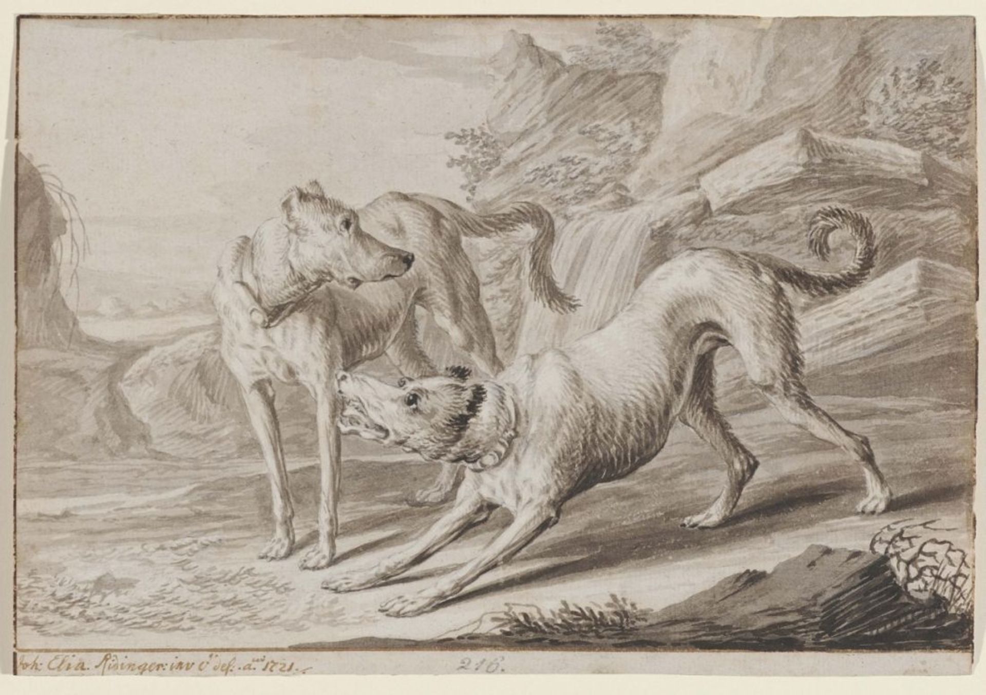 Ridinger, Johann Elias 1698 Ulm - 1767 Augsburg Zwei Hunde. 1721 L. u. in brauner Tinte signiert und