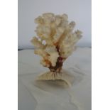 COLLECTABLES - A vintage/ antique branch of White