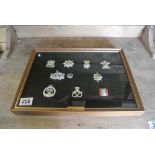 MILITARIA - A framed cap badge display produced by