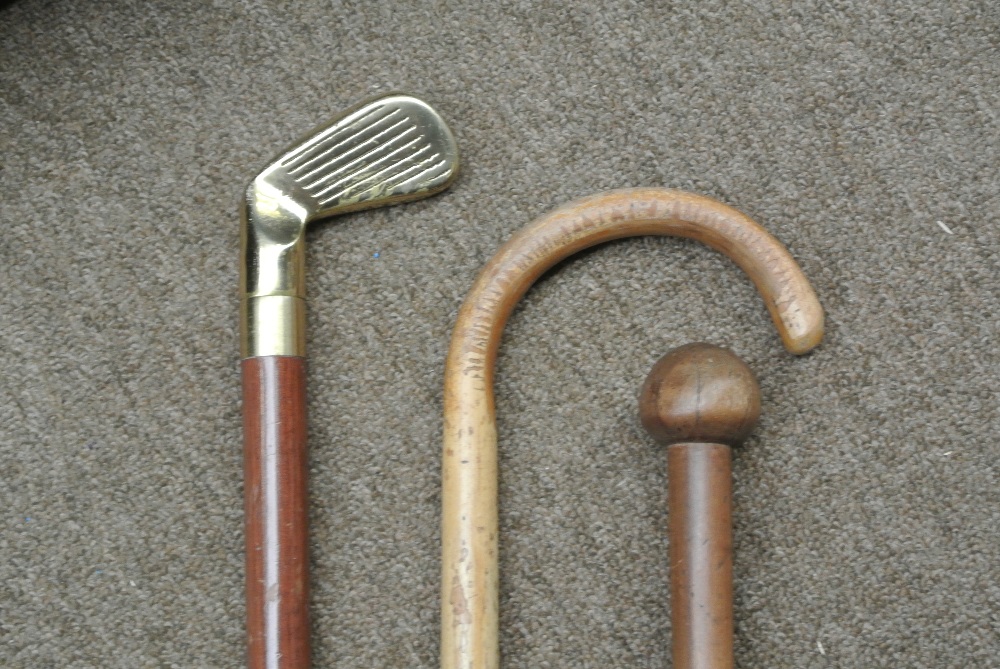 COLLECTABLES - A collection of 3 walking sticks to - Image 2 of 2