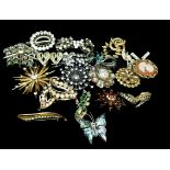 Costume Jewellery - A collection of vintage brooches including a snowflake, star form, cameo and