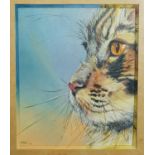 Michele Becker - Regard de chat, No 4, portrait of a tortoishell cat, watercolour and pencil on