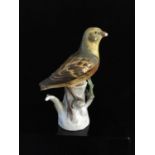 A Meissen porcelain figure of a bird, probably a Yellowhammer, perched on a leafy tree stump, blue