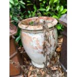 A weathered terracotta garden olive pot, 60cm x 40cm diam VIEWING STRICTLY BY APPOINTMENT ONLY