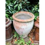 A large weathered terracotta garden olive pot, 74cm x 56cm diam VIEWING STRICTLY BY APPOINTMENT ONLY