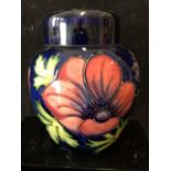 Moorcroft Pottery- an Anemone pattern ginger jar and cover, dark blue ground, painted and