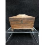 A Rosewood sarcophagus form tea caddy, egg and dart carved details, on four flat bun feet, 21cm max