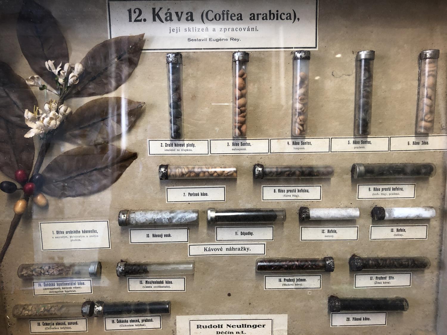 A framed Botanical collection of Coffee Beans, Coffea Arabica, in glass phials with labels, and a - Image 7 of 7