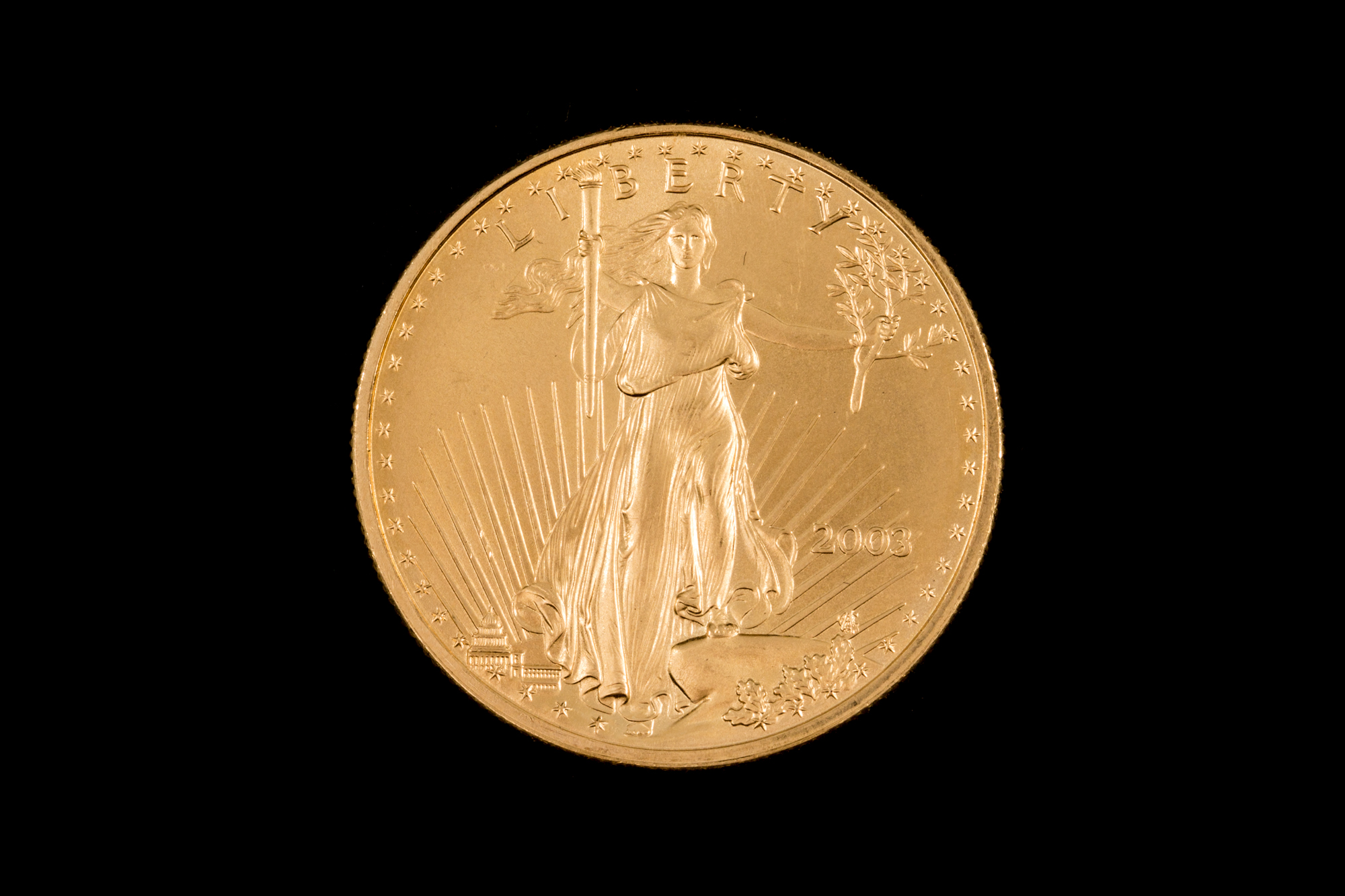 A 2003 US GOLD 1OZ $50 COIN
