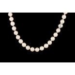 A SINGLE ROW CULTURED PEARL NECKLACE on 14ct. gold diamond set clasp.