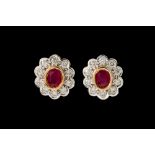 A PAIR OF RUBY AND DIAMOND CLUSTER EARRINGS, of oval form, mounted in gold.