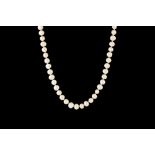 A FRESHWATER CULTURED PEARL NECKLACE