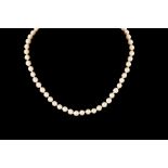 A CULTURED PEARL NECKLACE