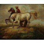 A painting depicting a horseman taming a white Arabian stallion