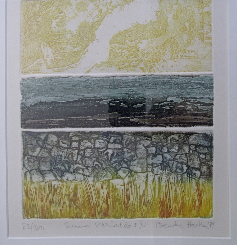 Brenda Hartill (British), Summer variations, etching in colours, signed and numbered, 82/200, 1986 - Image 2 of 2