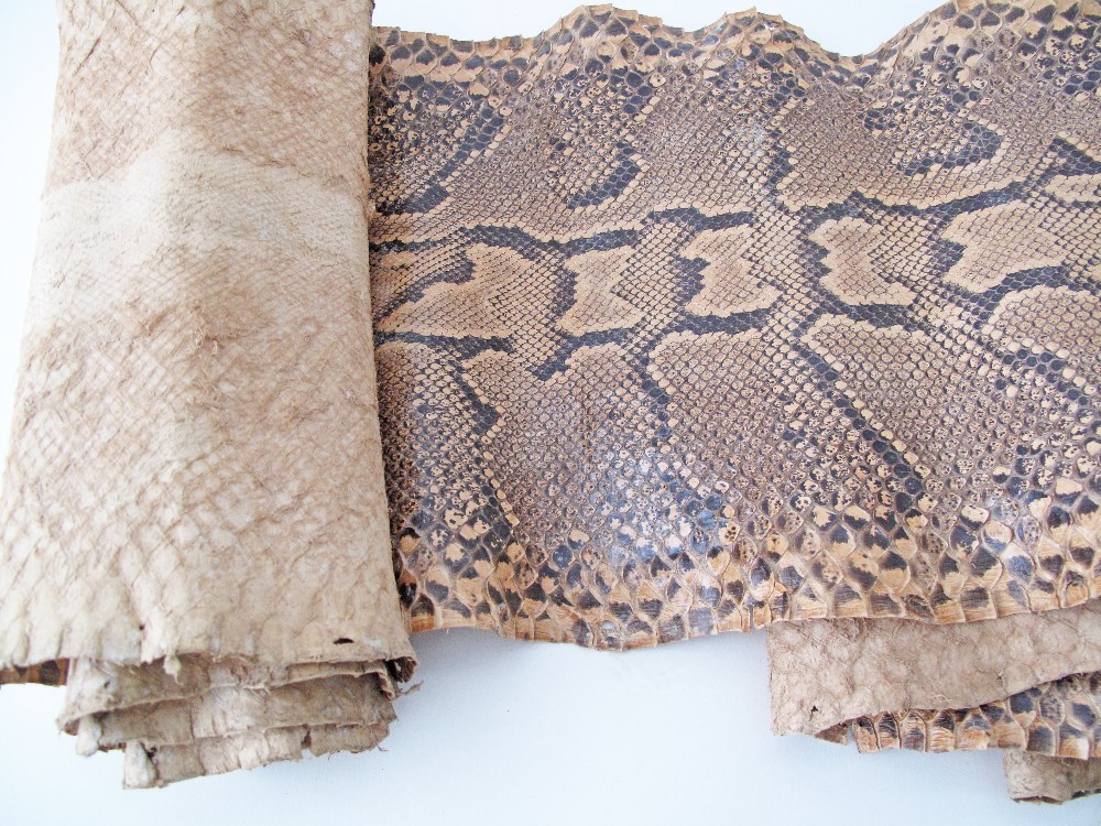 A python snake skin hide, length approx. 330cm, W32cm. - Image 2 of 2