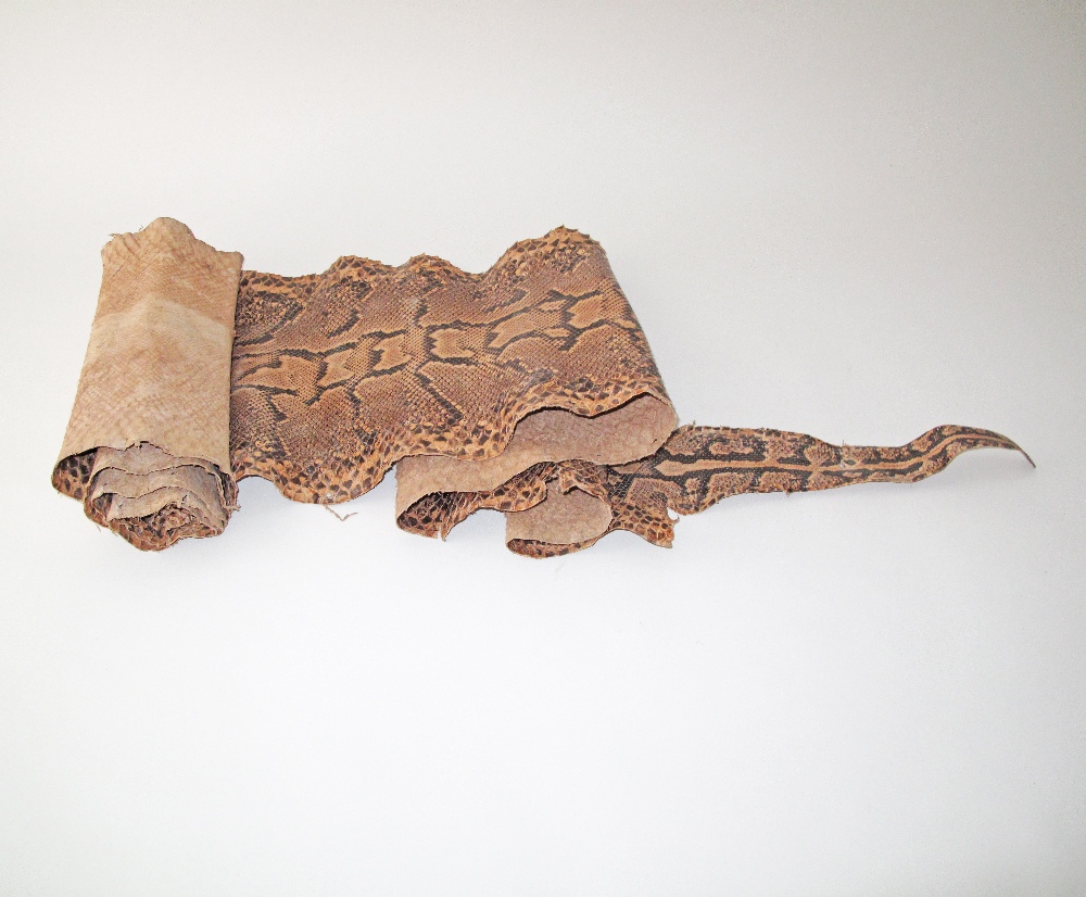 A python snake skin hide, length approx. 330cm, W32cm.