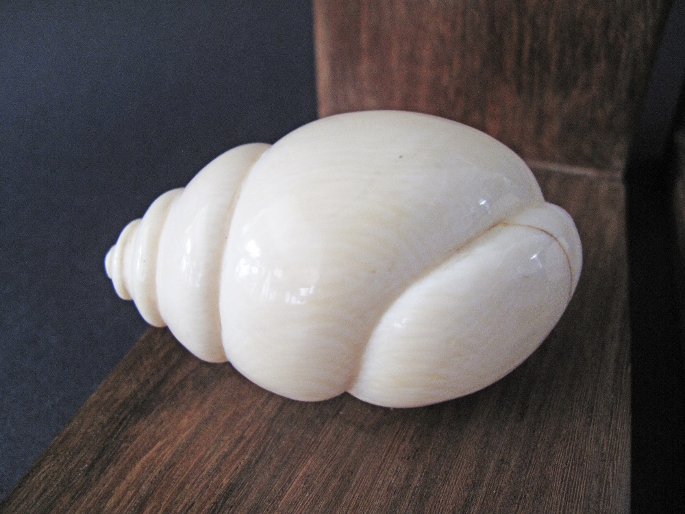 A pair of hardwood and ivory book-ends c19th century, each with a carved ivory snail. Weight incl. - Image 6 of 6
