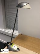 Adjustable Desk Lamp (located in Main Office, ground floor)