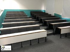 18 5-seat fixed Lecture Theatre Seating with Writing Tables (located in W306, ground floor)