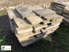 Pallet Yorkshire stone Paving/Stepping Stones, 11m