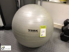 York Exercise Ball (located in Gymnasium, first floor, building 1)