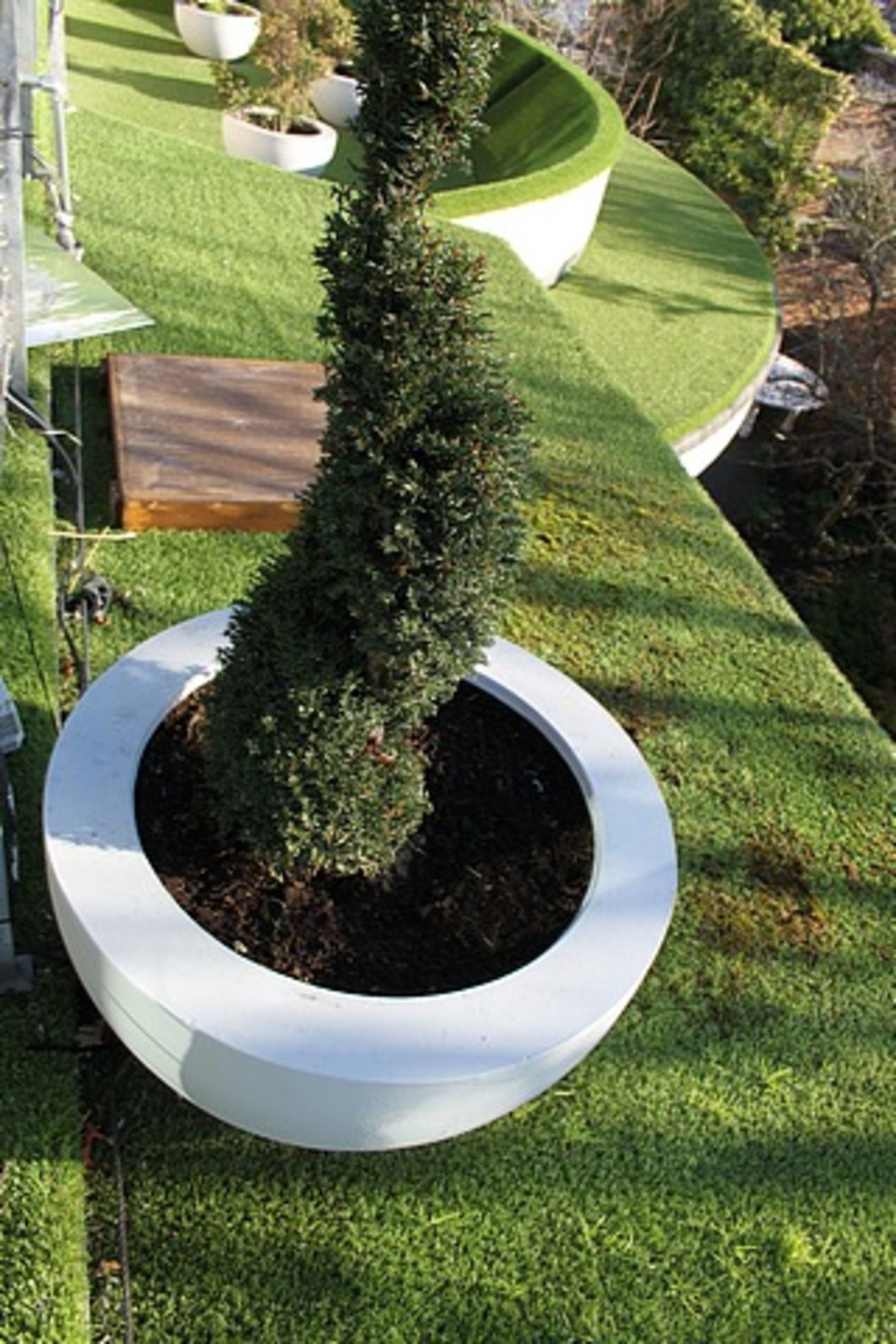 2 x Concrete white painted planter 760mm x 400mm with real bush