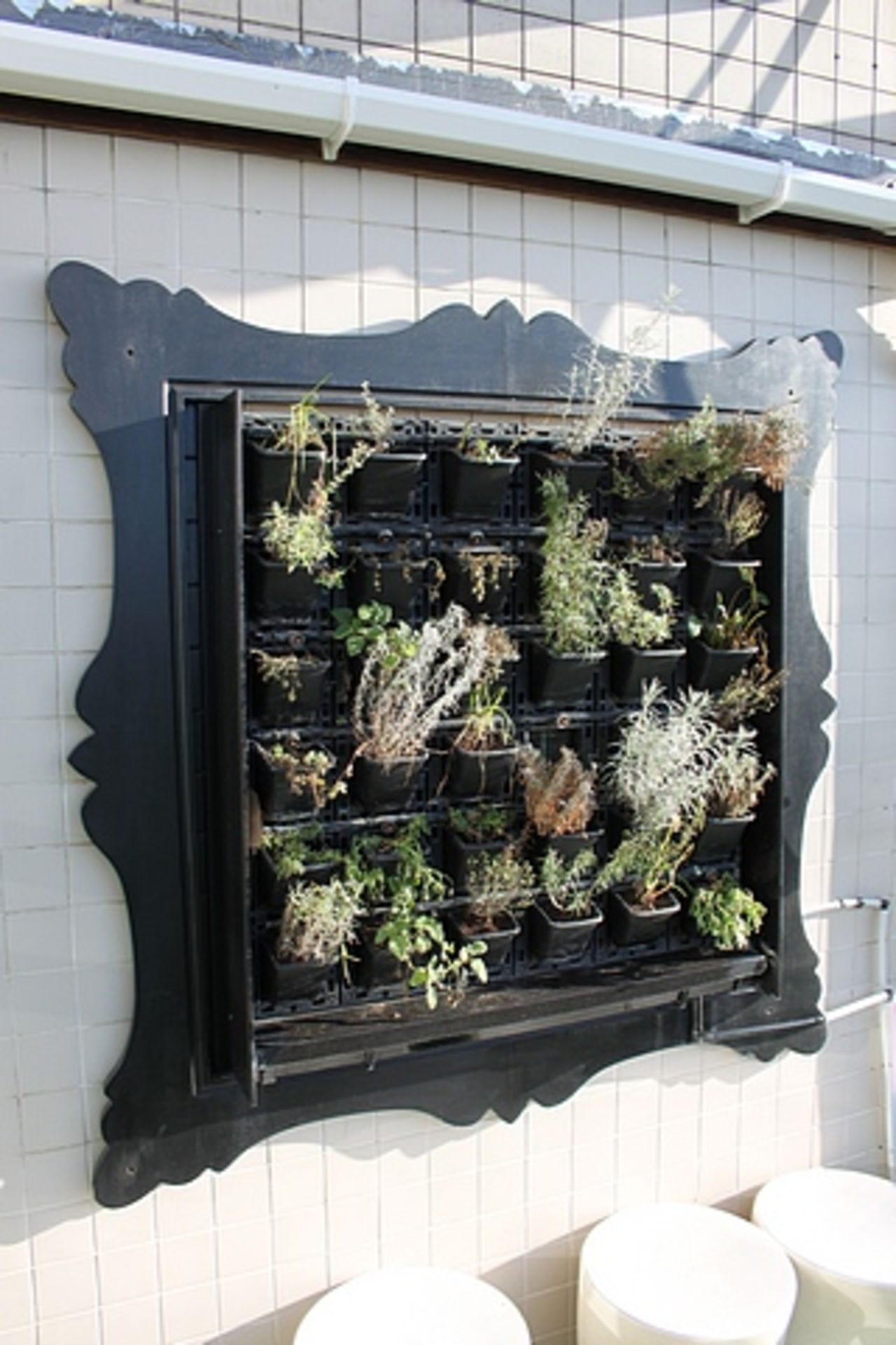 Wall mounted herb garden 1500mm x 1500mm