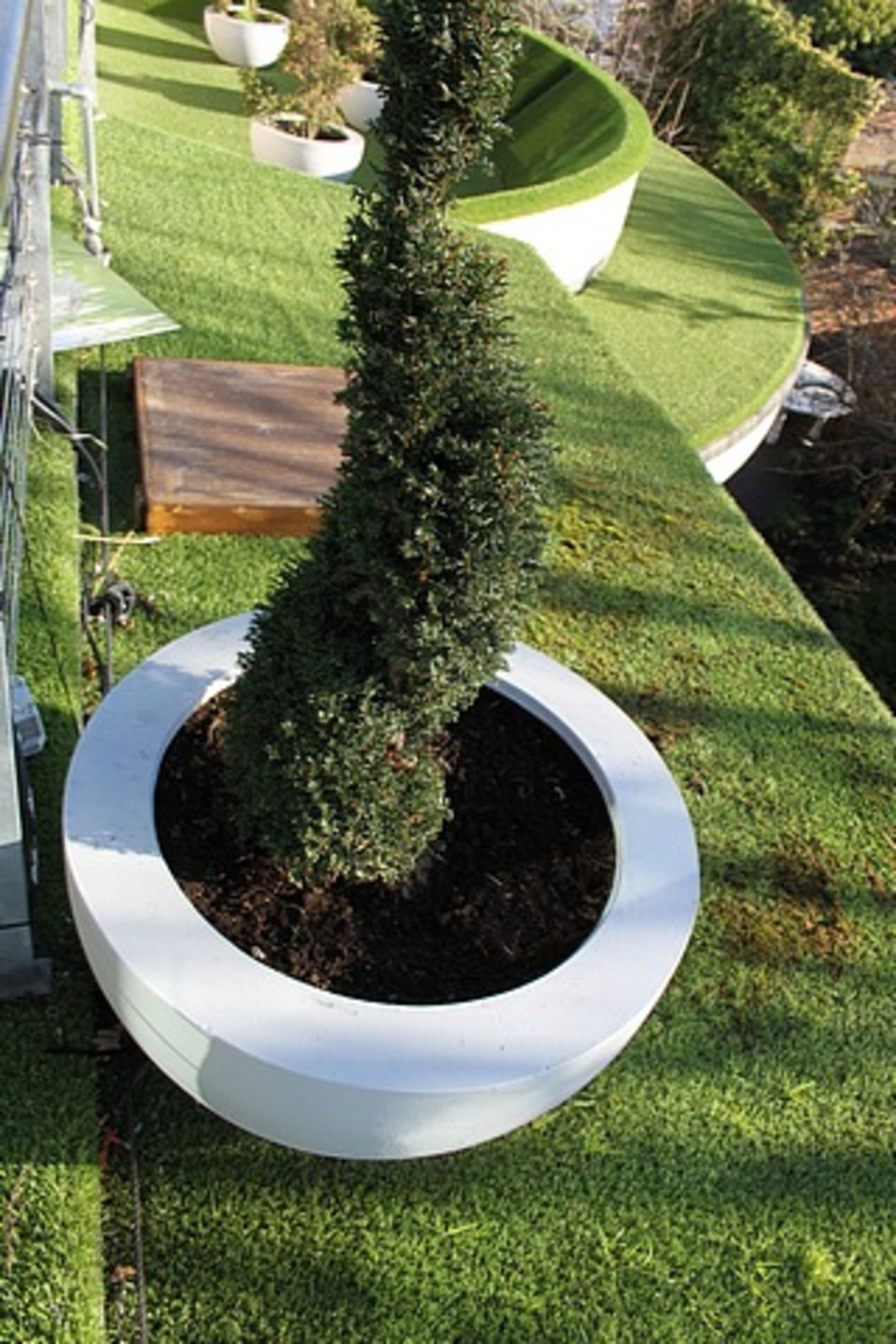 2 x Concrete white painted planter 760mm x 400mm with real bush