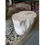 Bleu Nature F065 Petrified Wood Stool - Tree trunks transformed into stone, silent witnesses to