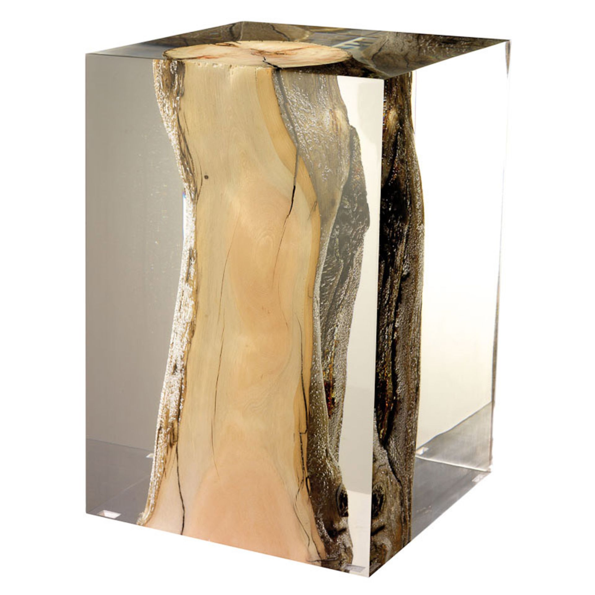 F162 Nilleq Drift Wood Trunks Oval Occasional Table Acrylic Lic 50 x 30 x 35cm RRP £4270