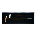 Polo Sticks Shadow Box 122 X 7 X 44cm Exact Replicas Of Vintage Curiosities Mounted On Black