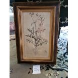 Framed Botanical Engraving 42.5 x 61.5cm