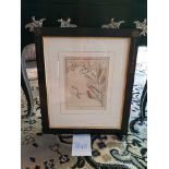 Framed Botanical Engraving 38 x 44cm