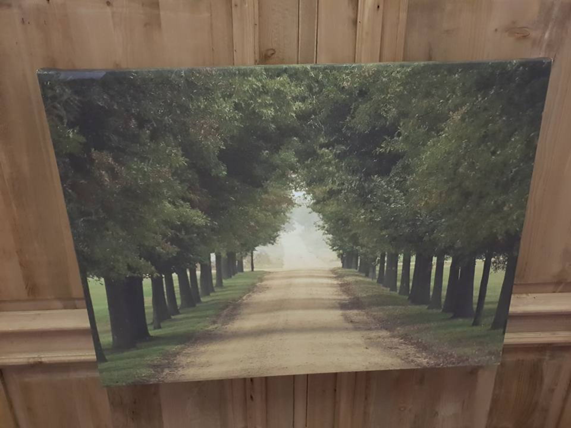 Canvas Print Forest Path 67 x 57cm