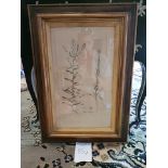 Framed Botanical Engraving 42.5 x 61.5cm