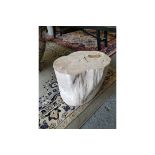 Bleu Nature F065 Petrified Wood Stool - Tree trunks transformed into stone, silent witnesses to