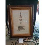 Framed Botanical Engraving 45.5 x 61.5cm