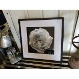 Artwork - Kelly Hoppen Black Blossom Wall Art 50 x 50cm - RRP £520