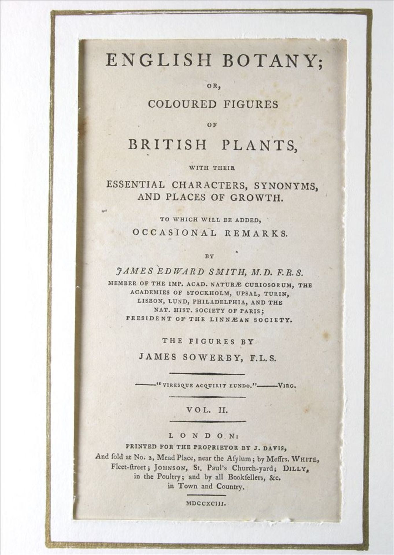 Konvolut English Botany Ca. 400 Stiche aus dem Werk von James Edward Smith. English Botany or - Bild 3 aus 6