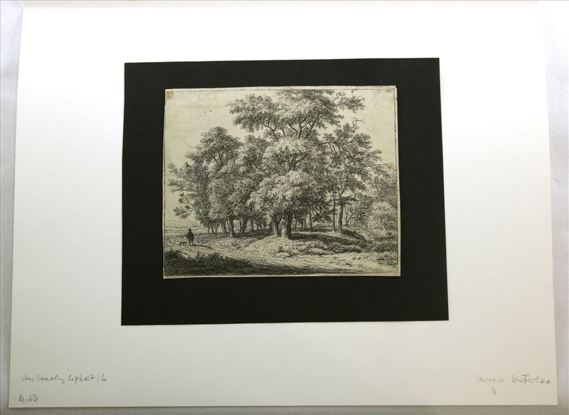 Waterloo, Anthonie ca. 1610-1690 Offene Waldlandschaft mit Jäger und Hund. Radierung beschnitten. - Image 3 of 3